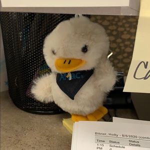 Meet your Posher, Holly